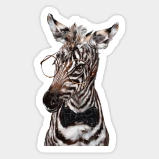 Intelligent Baby Zebra Sticker